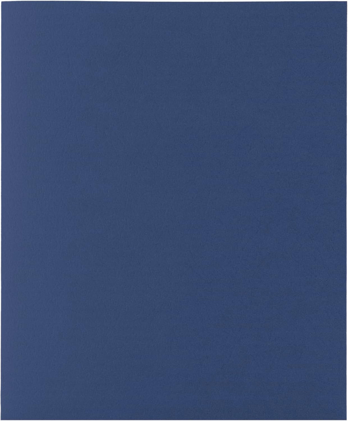 Hilroy Twin Pocket Portfolios, 9.5" x 11.75", 4-Pack, Assorted Colours (06042) - PuriLite