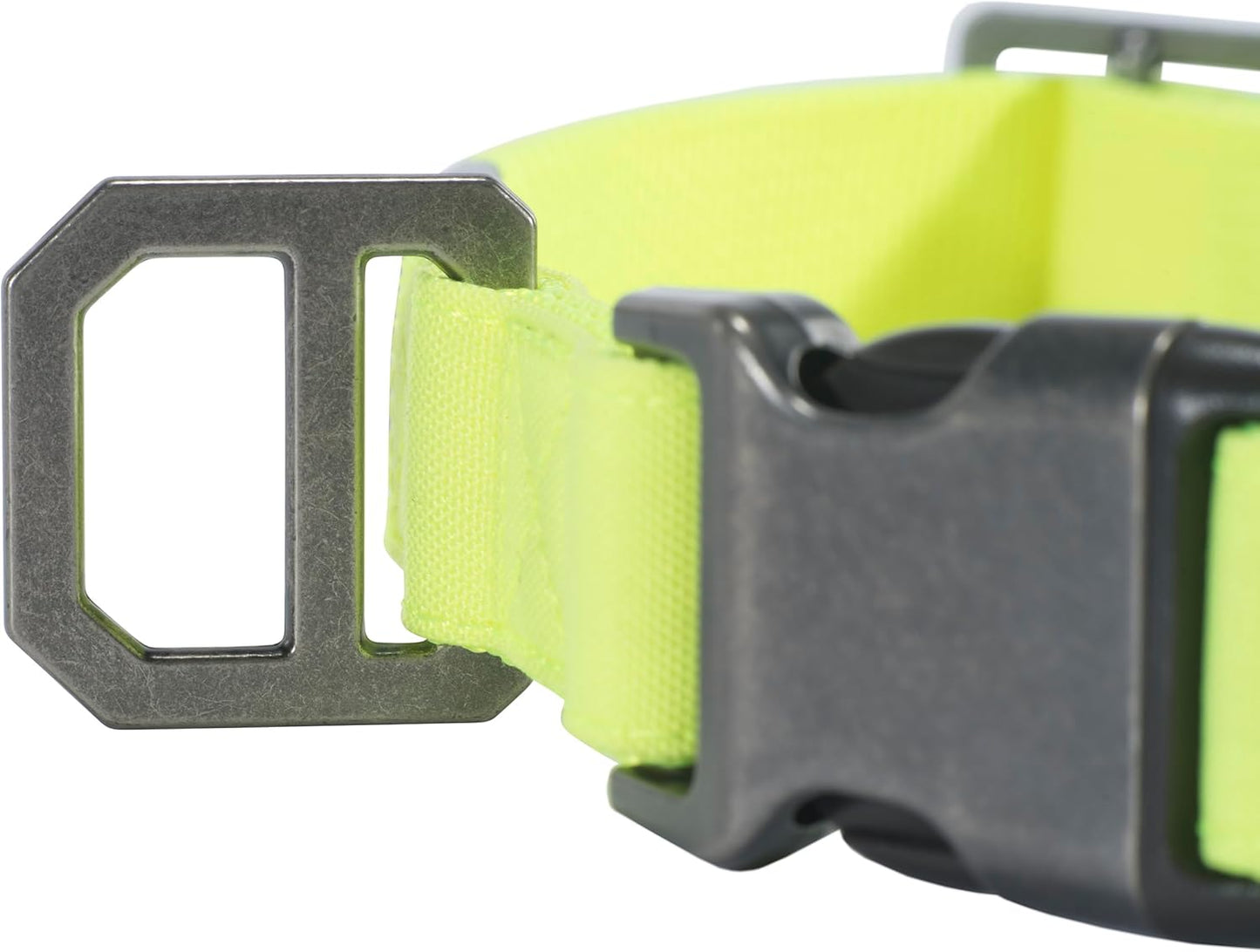 Carhartt Journeyman Dog Collar, Premium Rugged Construction Pet Collar