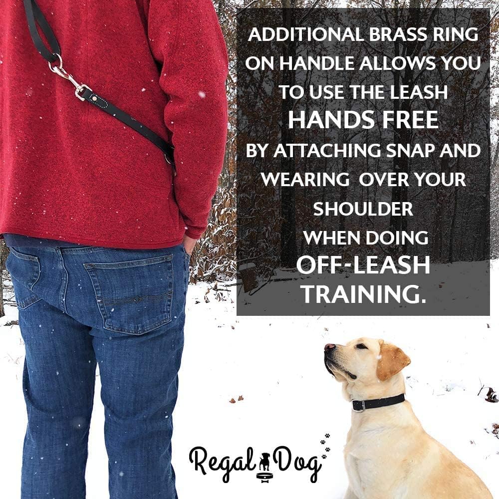 Regal Dog Products Medium Yellow Waterproof Dog Collar with Heavy Duty Double Buckle & D Ring | Vinyl Coated, Custom Fit, Adjustable Biothane Dog Collar | Chew Resistant Waterproof Collar for Dogs