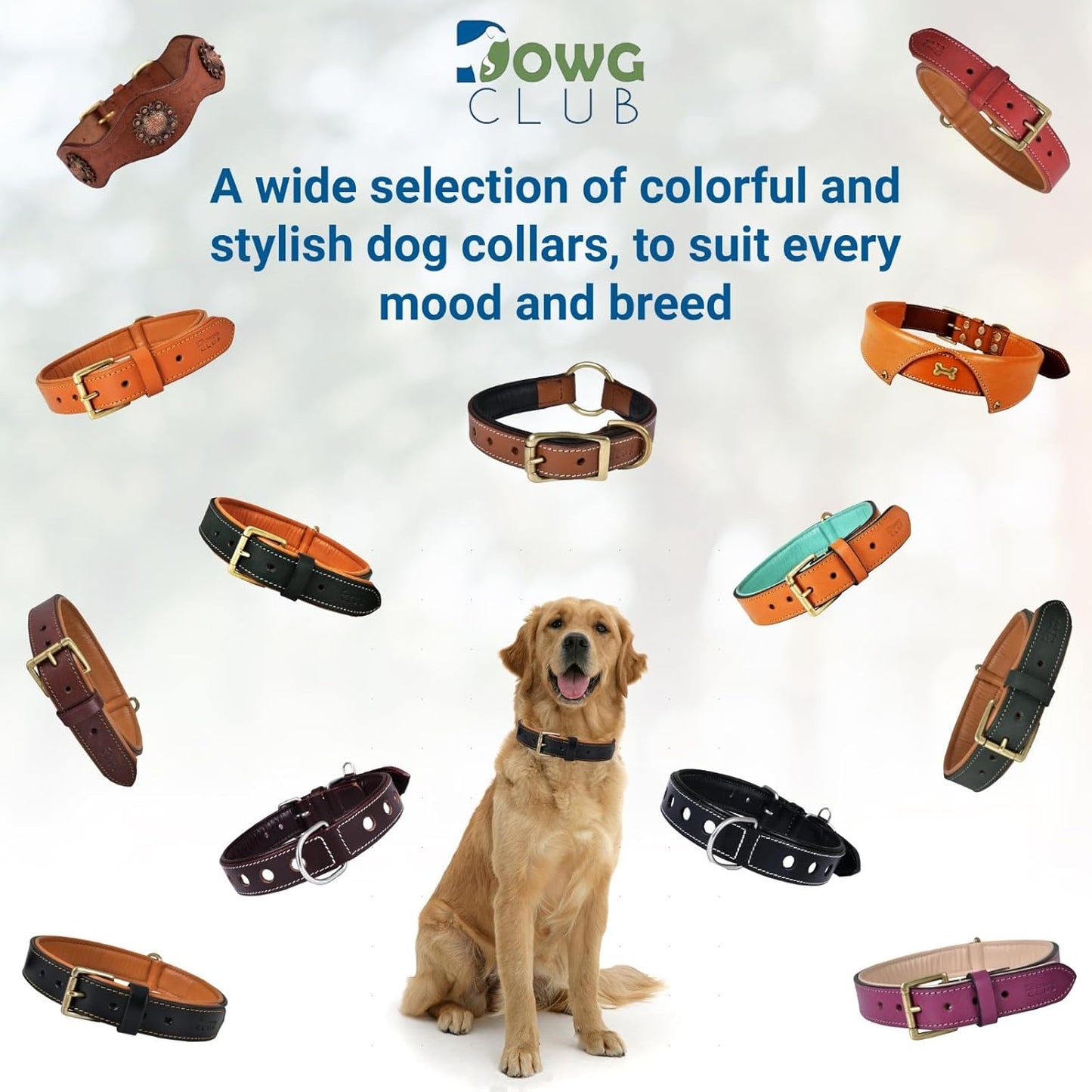 DowgClub | Genuine Leather Dog Collar | Full Grain, Heavy Duty | Comfortable, Strong | Best for Pups, Small, Medium & Large Breeds | Pink, Brown, Black, Tan