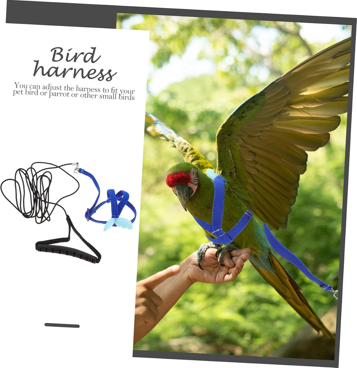BESPORTBLE 4pcs Bird Training Rope Parrot Harness Leash for Pet Supply Training Harness Set for Small Birds