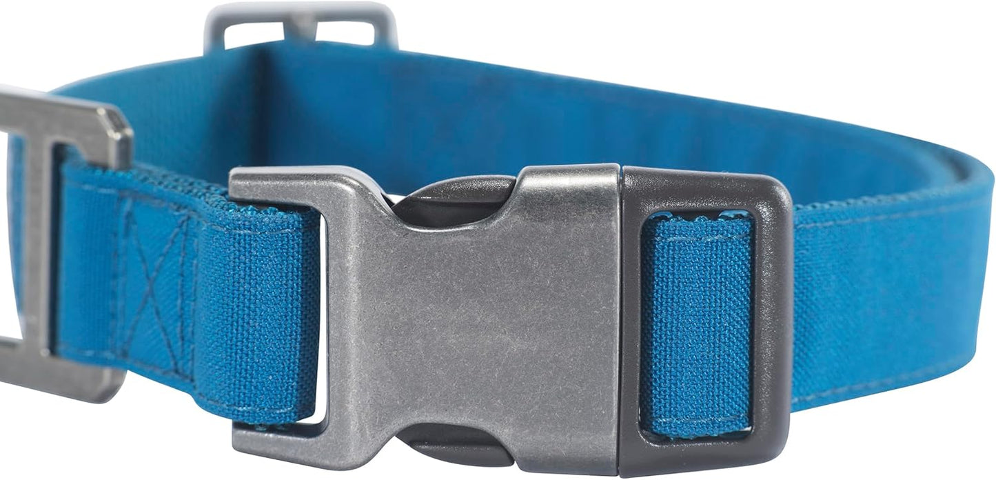 Carhartt Journeyman Dog Collar, Premium Rugged Construction Pet Collar