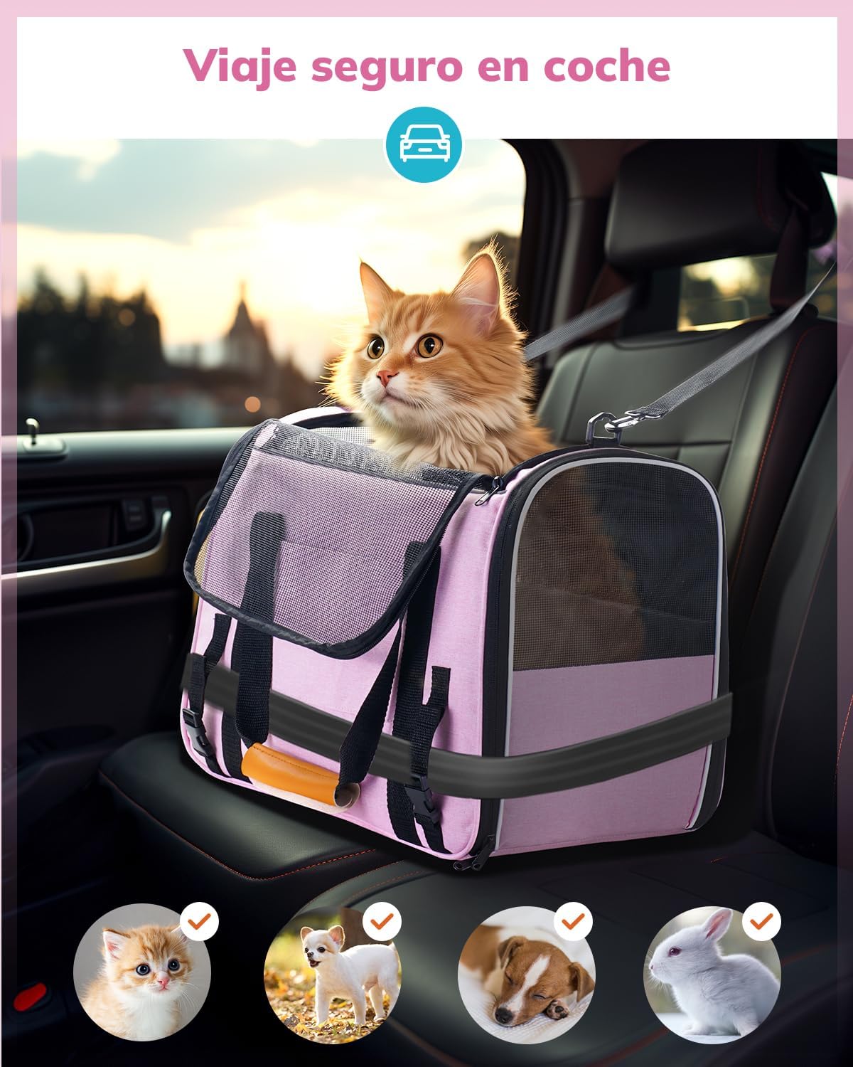Morpilot Cat Carrier Soft - Portable Pet Carrier for Small or Medium Cats, Dogs and Puppy up to 14lbs, Airline Approved Dog Carrier with Safety Buckle - (Dark Gray)