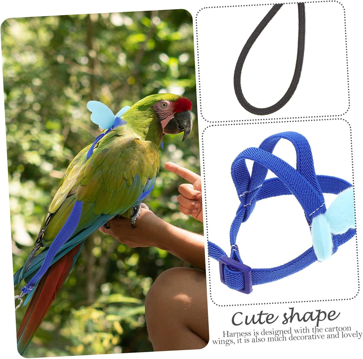 BESPORTBLE 4pcs Bird Training Rope Parrot Harness Leash for Pet Supply Training Harness Set for Small Birds