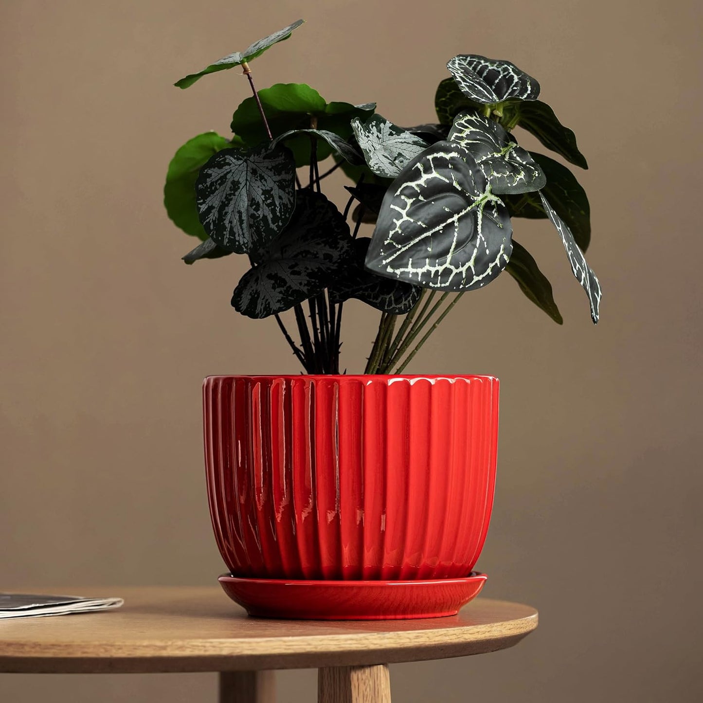 Purilite Select 3-Piece Ceramic Indoor Planter Set