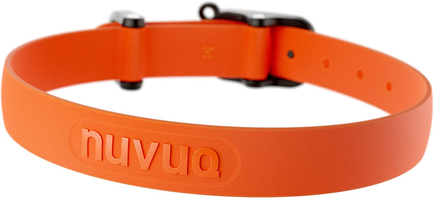 Waterproof Dog Collar - Durable, Comfortable and Adjustable Silicone Dog Collar with Wear Resistant Buckle and ID Tag Ring for Small Dogs by Nuvuq (Black, Small)