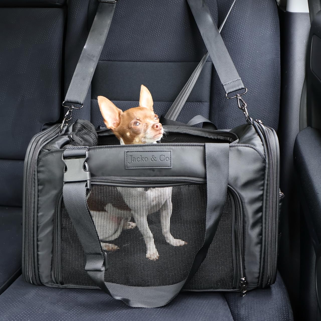 JACKO & CO - Premium Dog & Cat Carrier, TSA Airline Approved with Luggage Loop, Soft-Sided Travel Carrier Bag for Pets, Small Dogs, Puppies, Kittens up to 10lbs, Ventilated Windows & Fully Collapsible