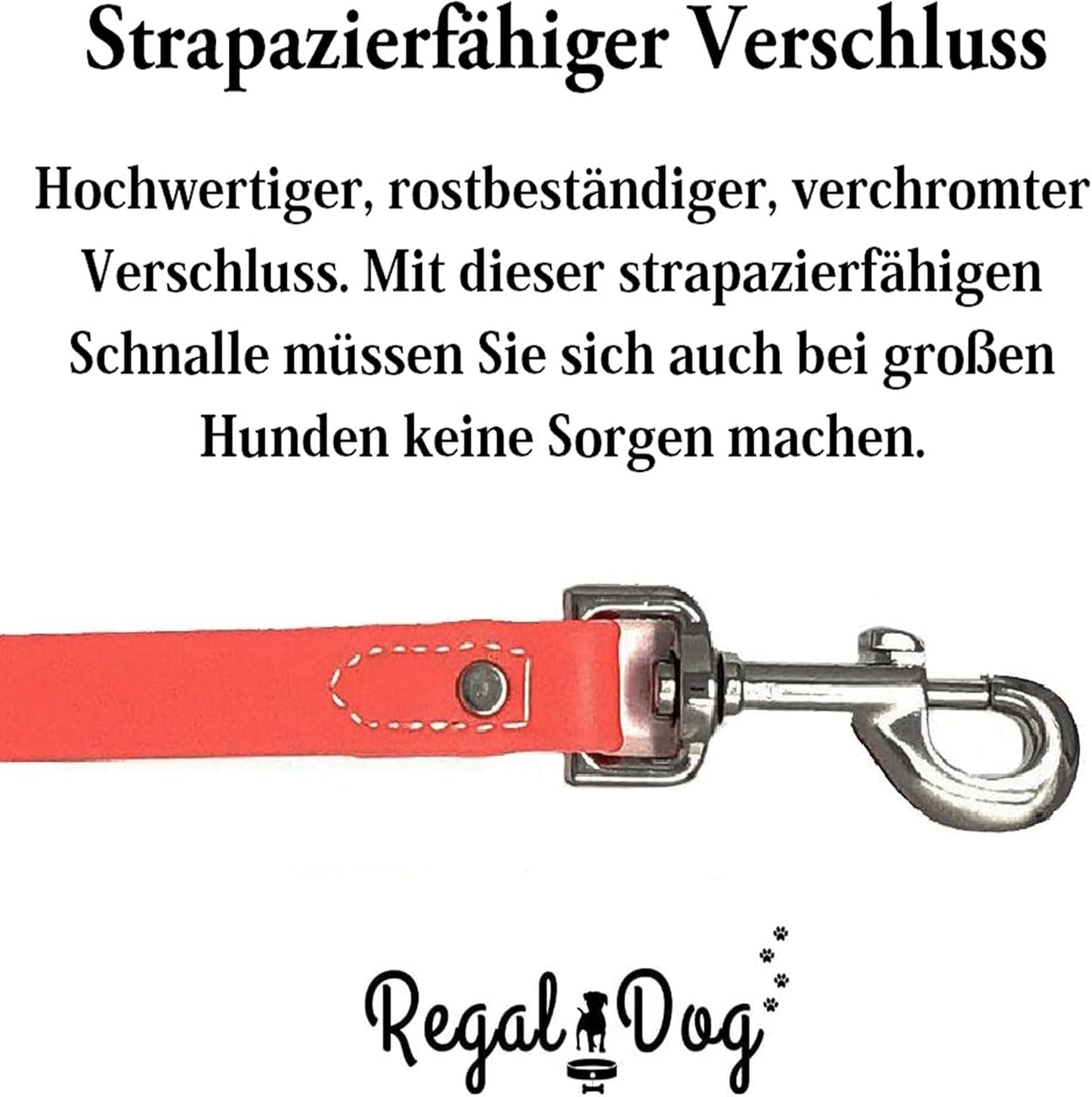 Regal Dog Products Medium Orange Dog Collar with Heavy Duty Double Buckle & D Ring | Vinyl Coated, Custom Fit, Adjustable Biothane Dog Collar Chew Resistant Waterproof Center-Ring Collar for Dogs