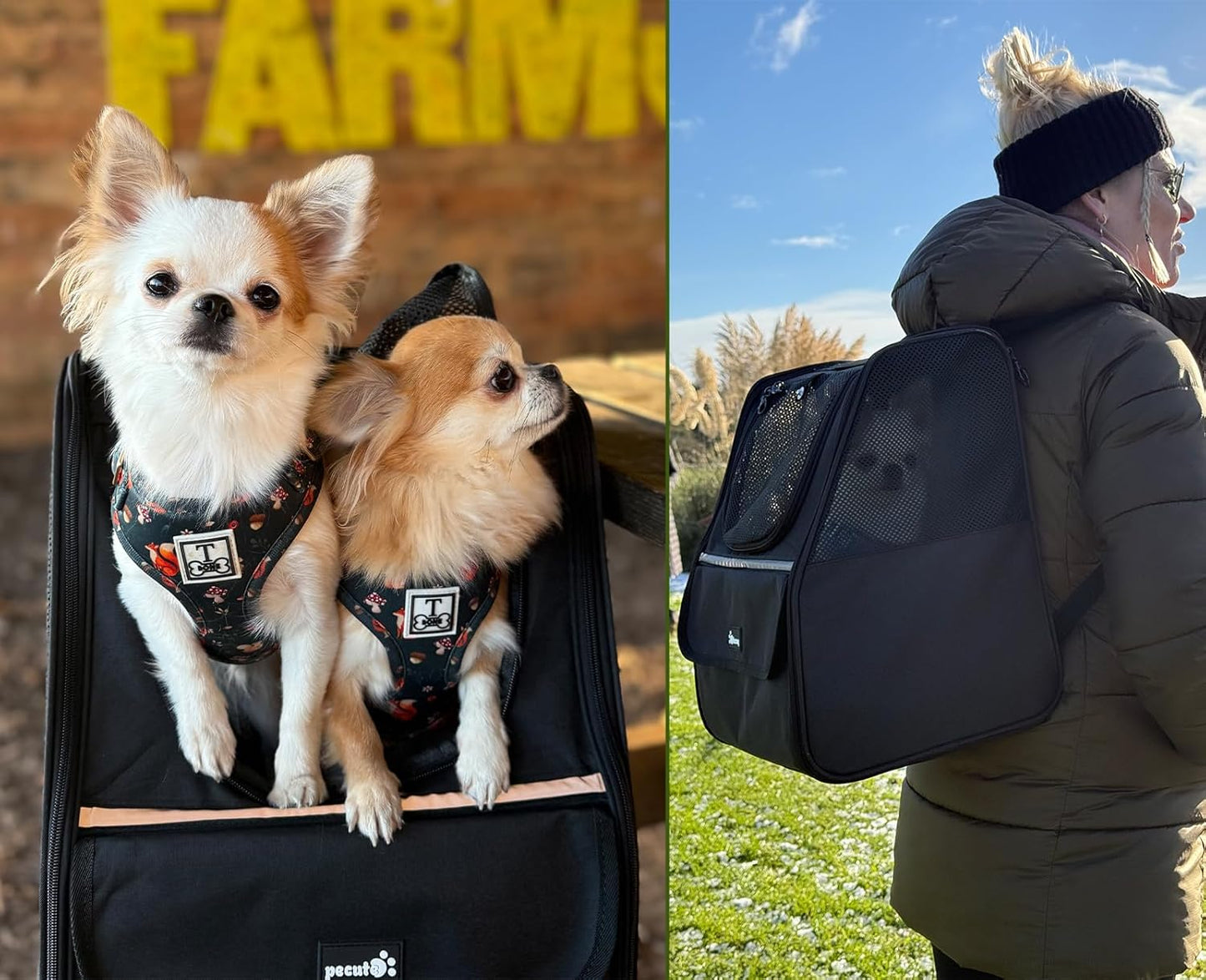 Pecute Expandable Cat Backpack Carrier, Small Dog Backpack Carrier, Pet Backpack Carriers for Cats Dogs Puppy Kitten, Cat Carriers Bag Carrying for Travel Hiking Bike Riding Walking Outdoor,Grey