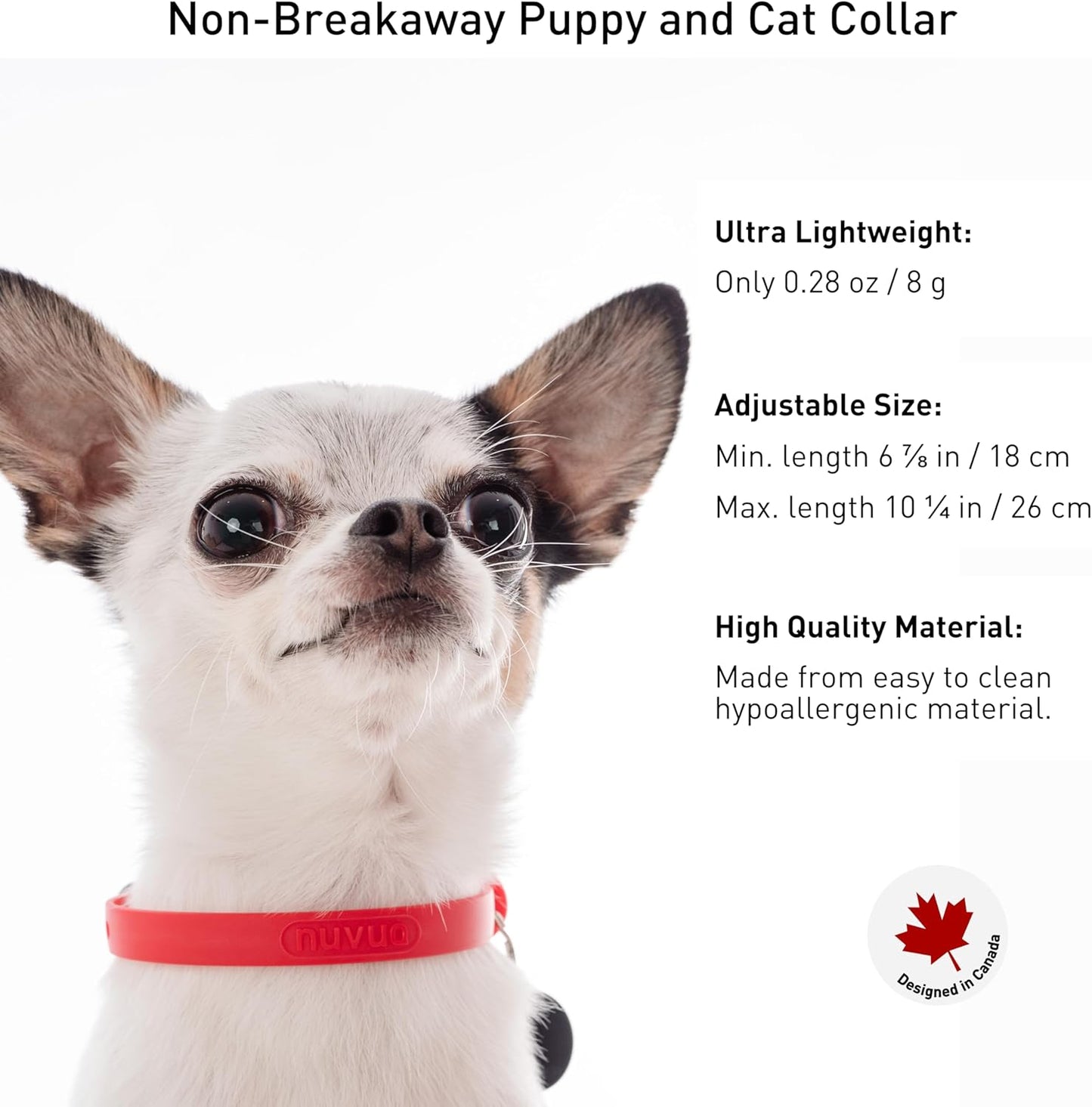 Waterproof Dog Collar - Durable, Comfortable and Adjustable Silicone Dog Collar with Wear Resistant Buckle and ID Tag Ring for Small Dogs by Nuvuq (Black, Small)