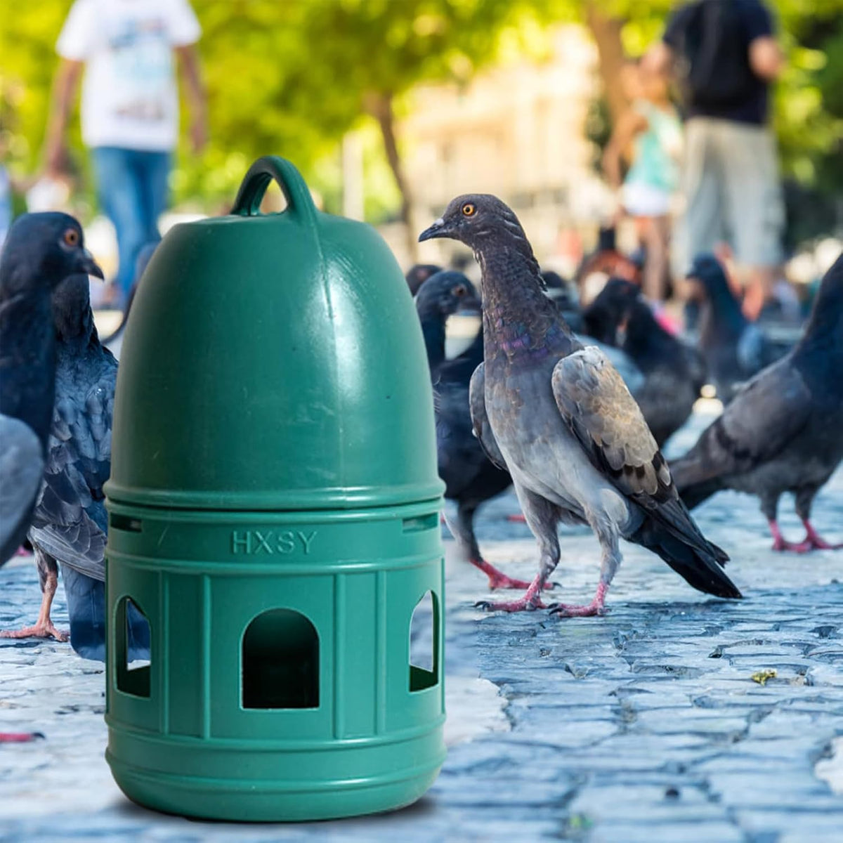 Pigeon Water Feeder Large Capacity Wide Opening Top Handle Pet Supplies