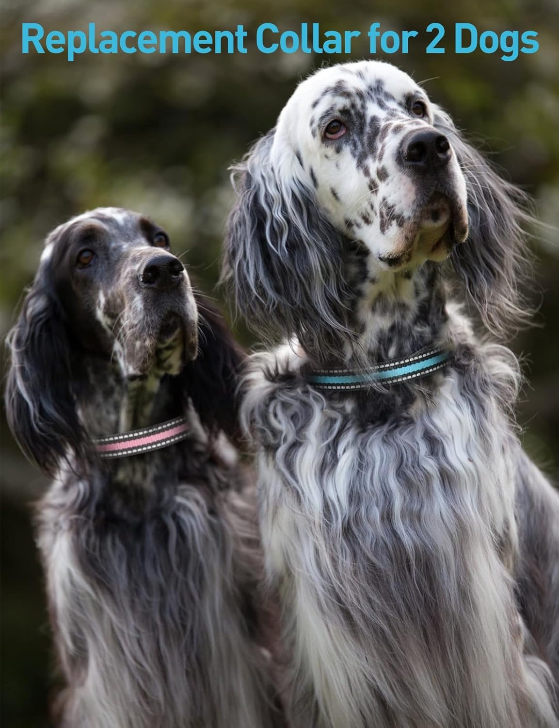 DOGLinsen 2-in-1 Bark and Shock Collar for Dogs, Smart Anti Barking Dog Training Collar with 5 Adjustable Sensitivity, Automatic Bark Collar with Remote, Vibration, Beep, Shock and Automatic