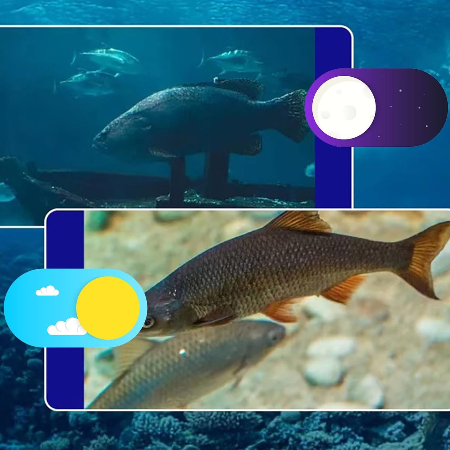 Underwater Fishing Camera, Portable Fish Finder Waterproof Camera 1000TVL Underwater Camera with 12 IR LED Lights, 4.3 Inch LCD Monitor, for Lake Sea Boat Kayak Ice Fishing (30m / 32.8yd US Plug)