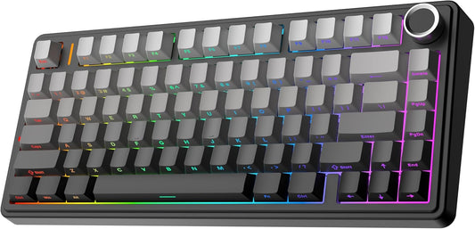 EPOMAKER x Aula F75 Gasket Mechanical Keyboard, 75% Wireless Hot Swappable Gaming Keyboard with Five-Layer Padding&Knob, Bluetooth/2.4GHz/USB-C, RGB (Black Gradient, LEOBOG Reaper Switch) - PuriLite