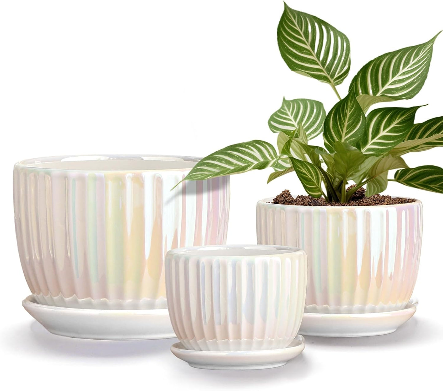 Purilite Select 3-Piece Ceramic Indoor Planter Set
