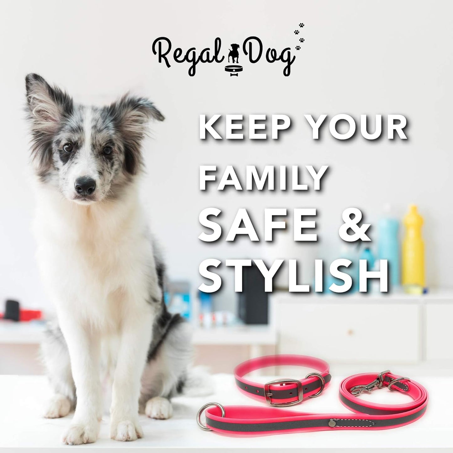Regal Dog Products Heavy Duty Reflective Dog Collar – Adjustable and with Durable Metal Buckle and Rings Anti-Odor, chew Resistant, Waterproof Dog Collar for Small Medium and Large Dogs (Large, Pink)
