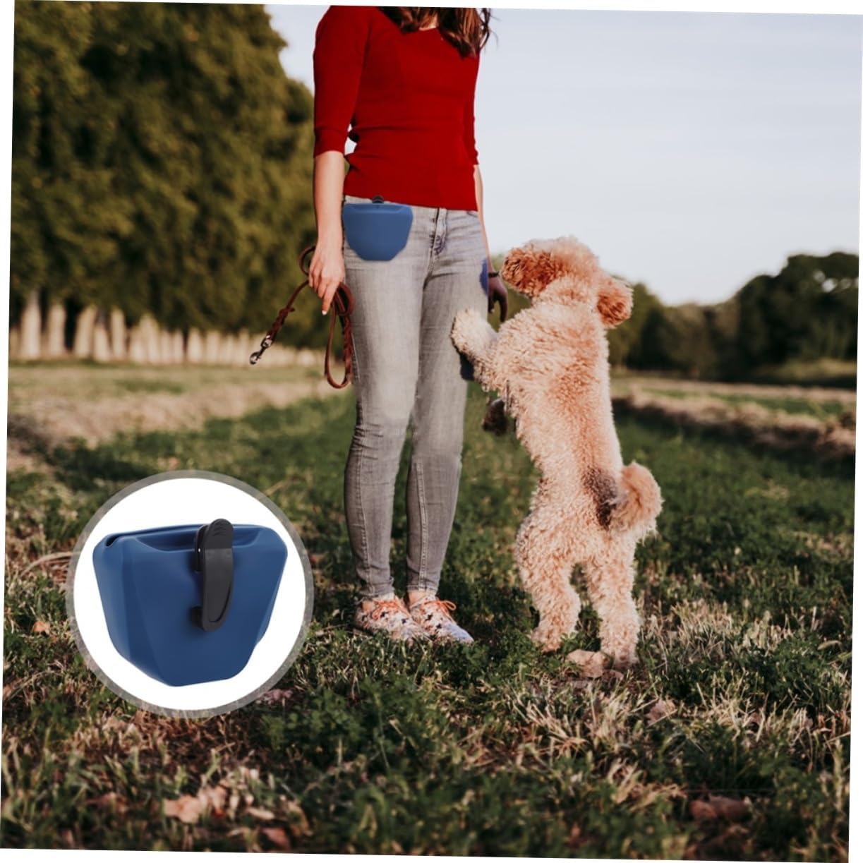 VOSAREA 2pcs Silicone Dog Treat Container Training Pouch Pet Supplies for Puppies