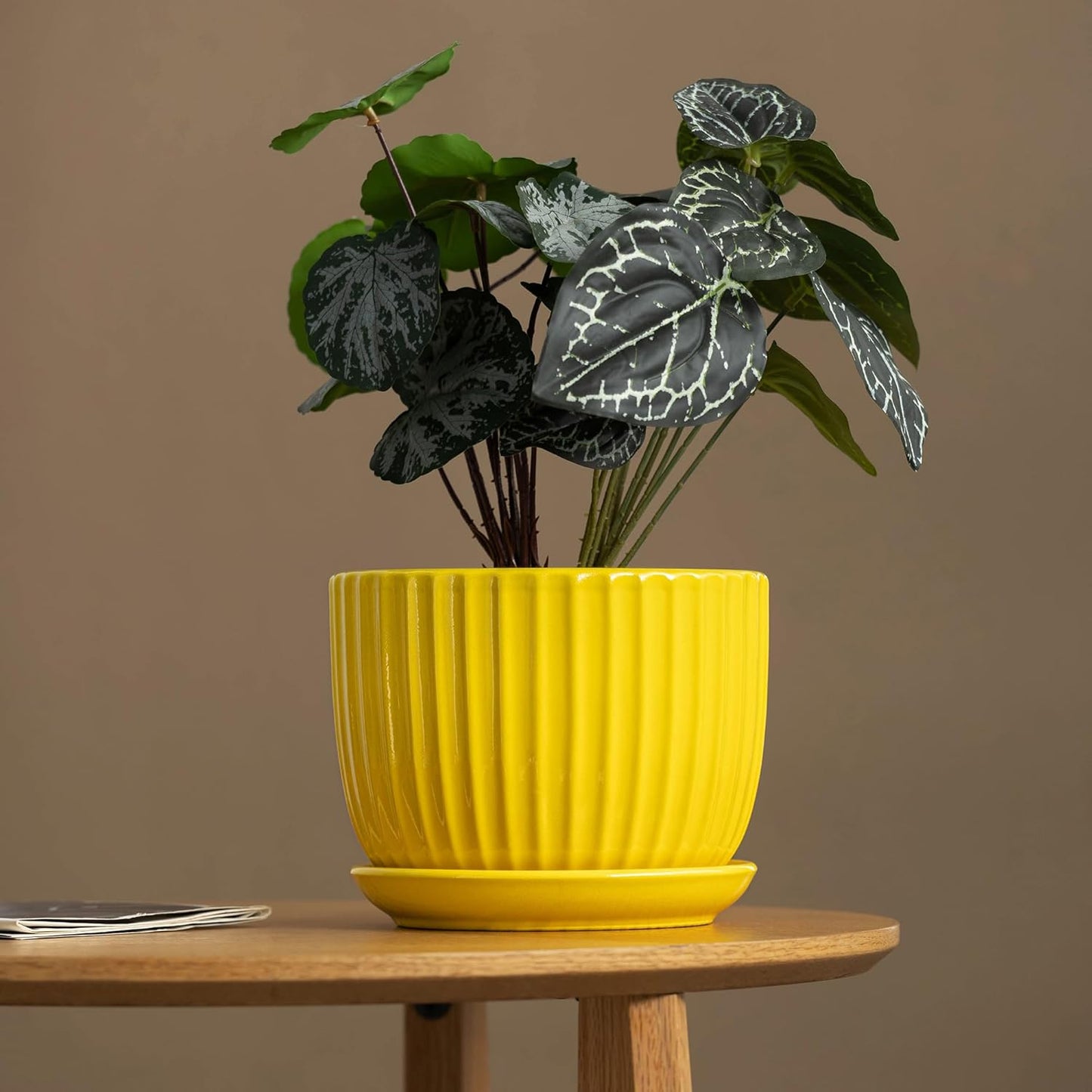Purilite Select 3-Piece Ceramic Indoor Planter Set