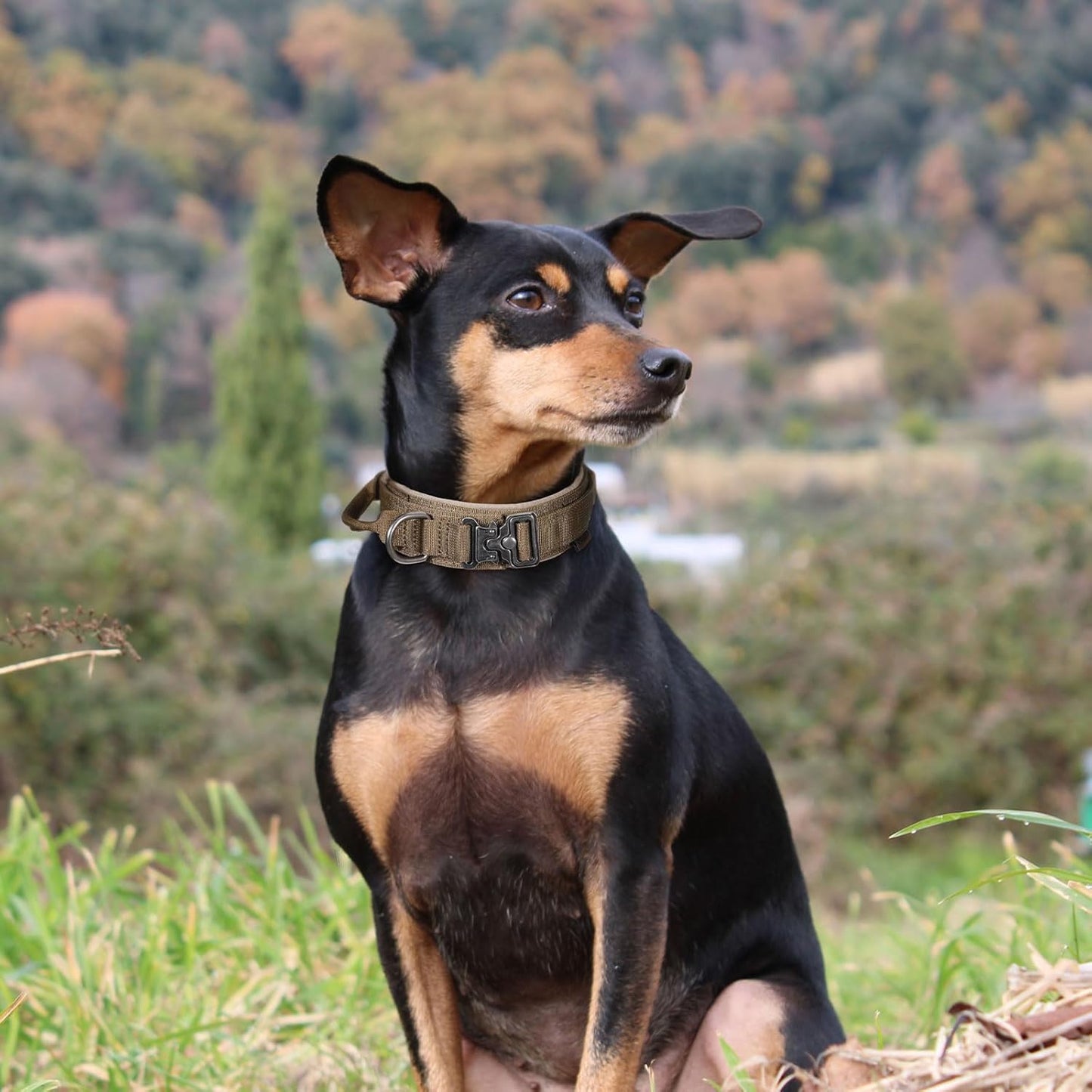 EXCELLENT ELITE SPANKER Tactical Dog Collar Nylon Adjustable K9 Collar Military Dog Collar Heavy Duty Metal Buckle with Handle(Coyote Brown-XL)