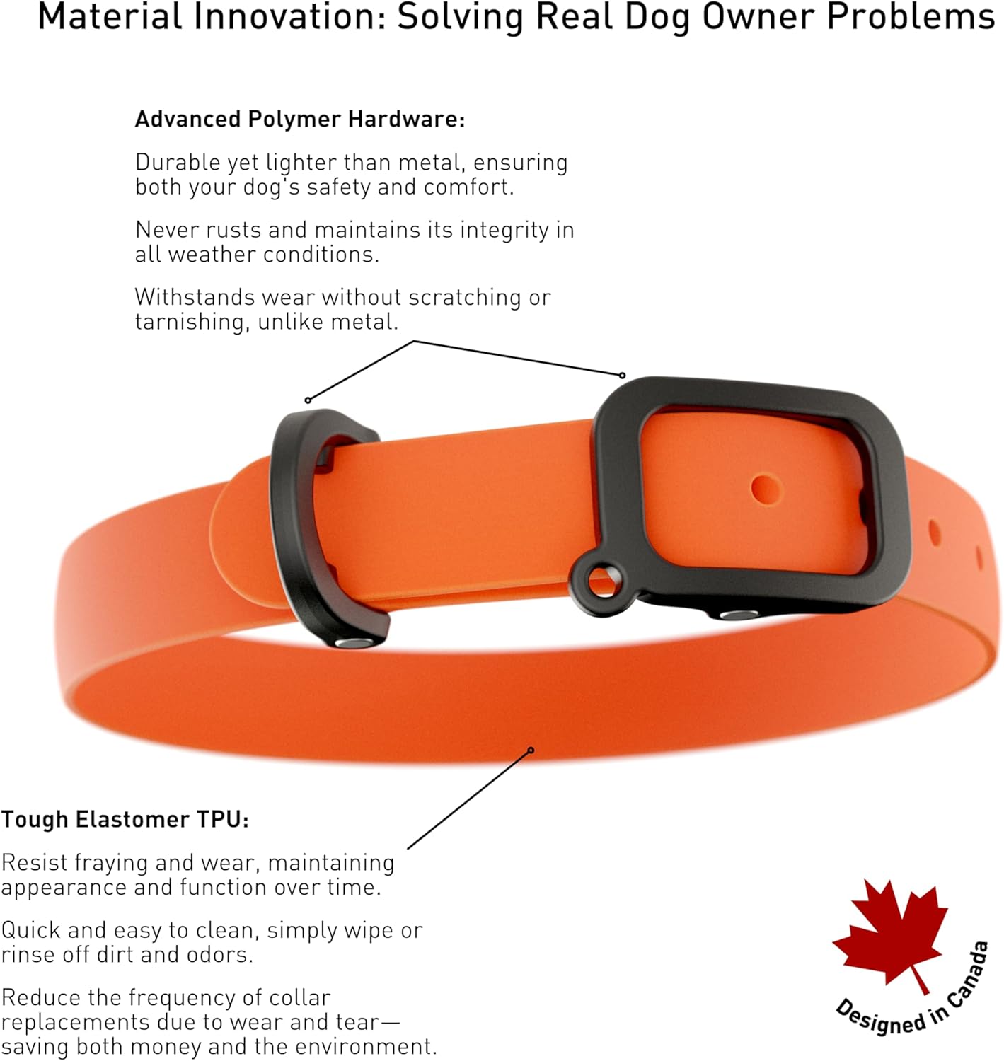 Waterproof Dog Collar - Durable, Comfortable and Adjustable Silicone Dog Collar with Wear Resistant Buckle and ID Tag Ring for Small Dogs by Nuvuq (Black, Small)