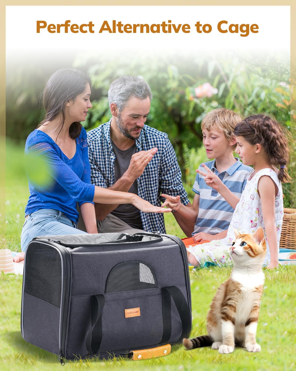 Morpilot Cat Carrier Soft - Portable Pet Carrier for Small or Medium Cats, Dogs and Puppy up to 14lbs, Airline Approved Dog Carrier with Safety Buckle - (Dark Gray)
