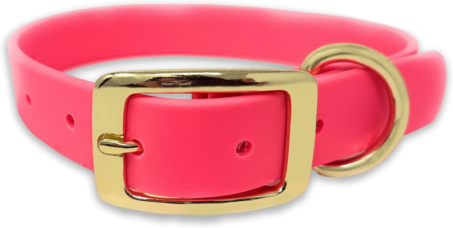 Regal Dog Products Medium Black Waterproof Dog Collar with Gold Buckle, Resilient and Durable Materials, Comfortable Design - for Small, Medium, and Large Breed Dogs