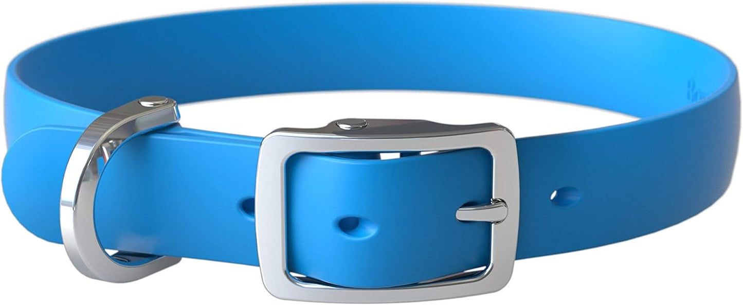 Bond Pet Waterproof Dog Collar - Durable, Comfortable, Adjustable, Wear Resistant and Easy to Clean for Puppies and XSmall Dogs (Orange, XSmall)