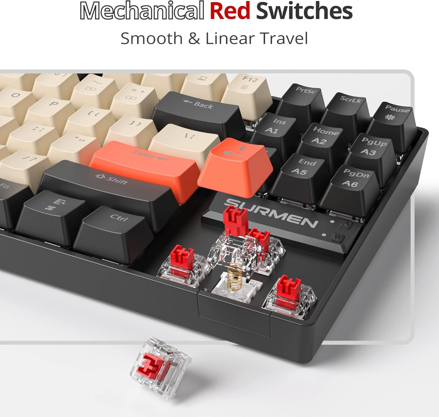 Fogruaden Full Size Mechanical Keyboard, Green Matcha Keyboard, Wired USB 104 Keys RGB Backlit Gaming Keyboard with Number Pad, Red Switches, NKRO Mechanical Keyboard for Windows Laptop PC Gamer