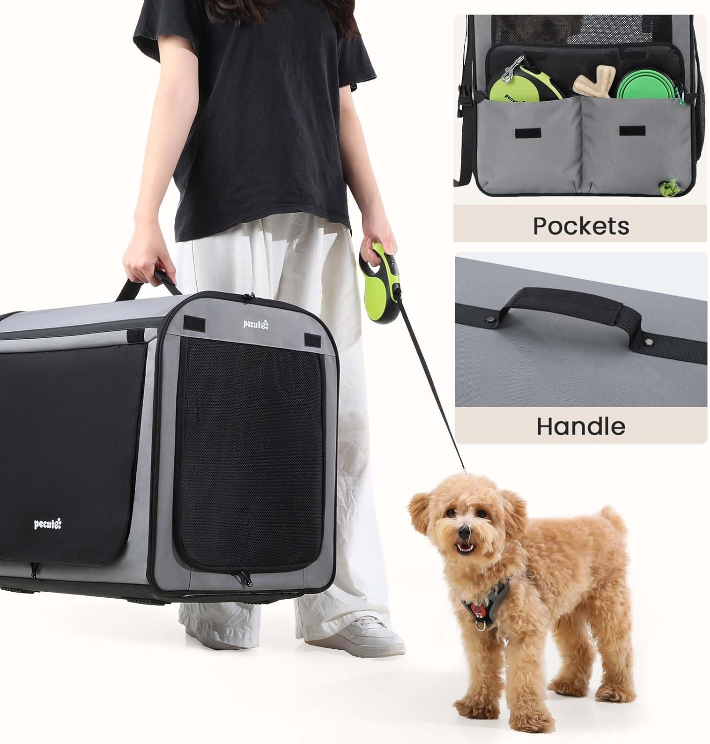Pecute Collapsible Dog Crate for Pets<15kg, Pet Carrier Stable and Light Weight, Soft Dog Crate with Breathable Windows, Portable Dog Carrier with Curtain 61×45×52 cm (Green)