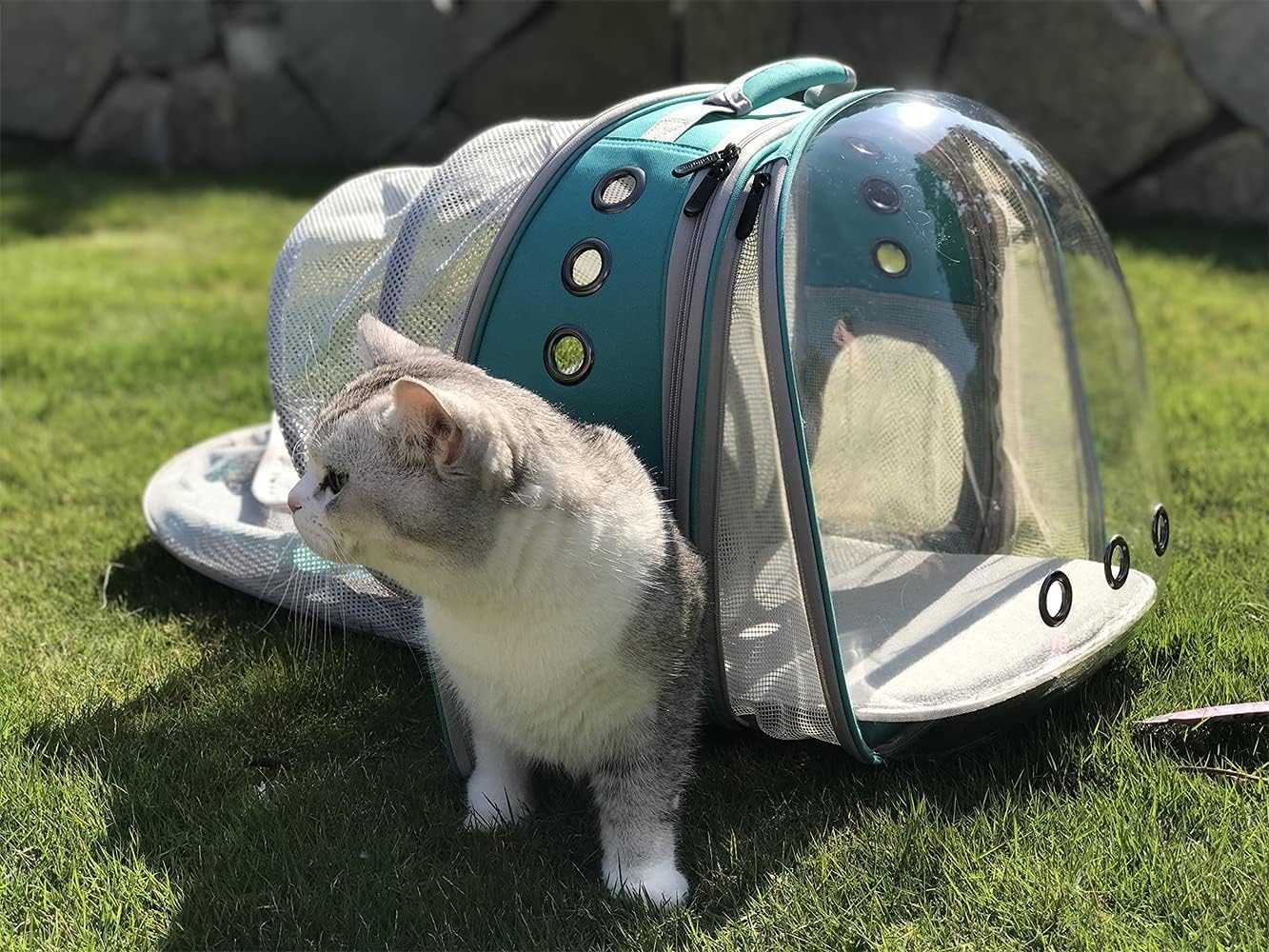 LAIRIES Dual Expandable Cat Backpack Carrier Front & Back Extension Pet Backpack Carrier, Fit up to 20 lbs, Bubble Capsule Dog Backpack Travel, Hiking & Outdoor Backpack (CL-Star Blue, Dual Extension)