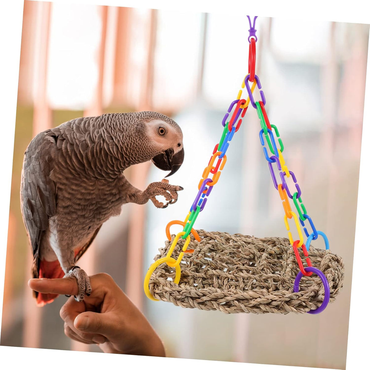 NOLITOY 3pcs Parrot Climbing Toy Woven Bird Perch for Cage Parakeet Toy Bird Swing Pet Supply