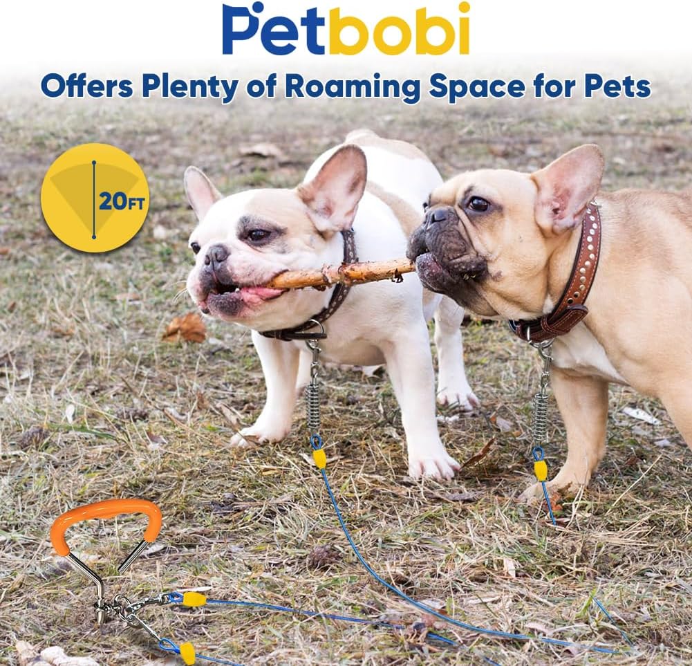 Petbobi Dog Tie-Out Cable and Stake - 30ft Heavy Duty Cable with Spring, No Tangle, 16in Ground Stake, Ideal for Yard, Camping and Beach, Suitable for Small Medium Large Dogs Up to 120 lbs, Blue