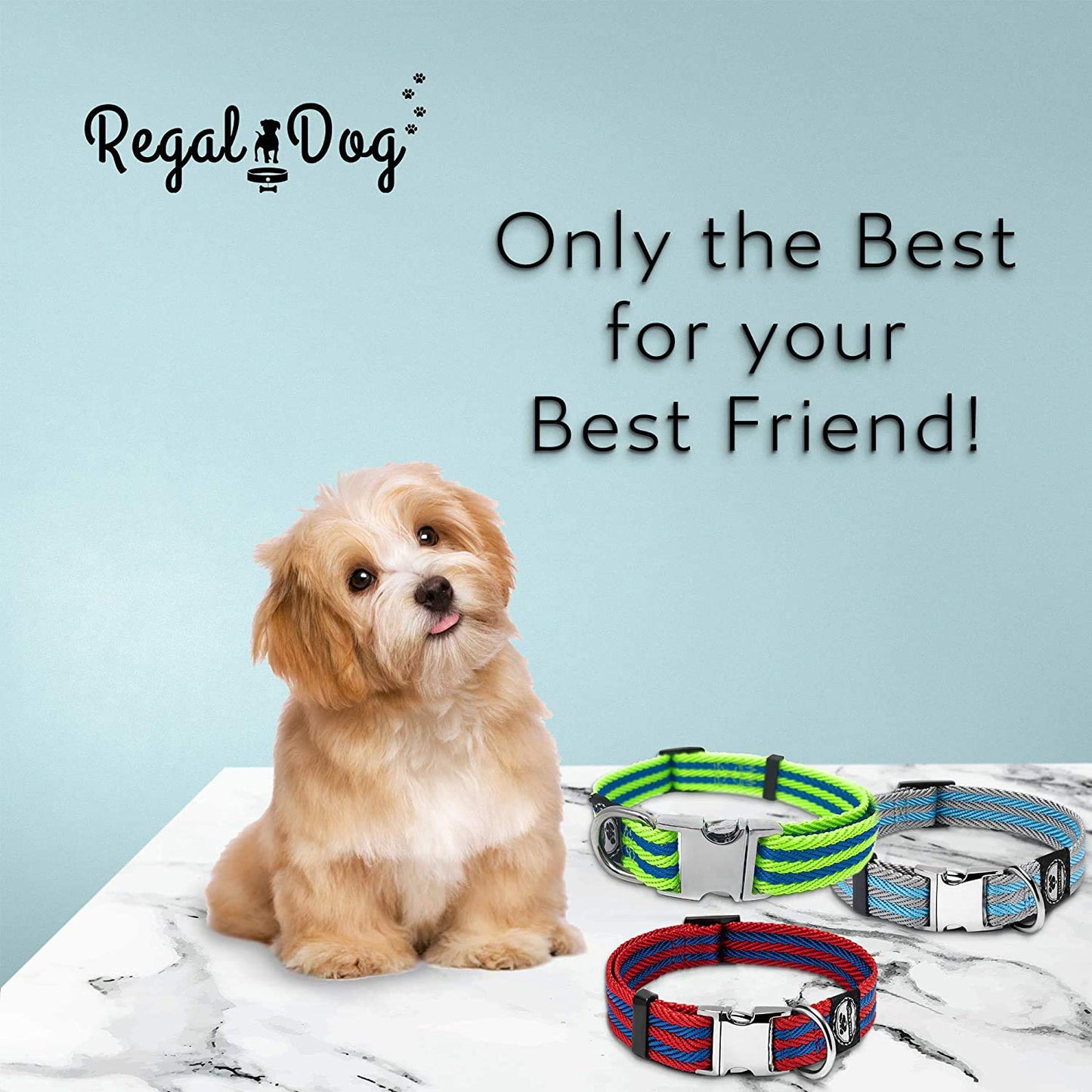 Regal Dog Products Pet Collar with Metal Buckle and D Ring | Durable Dog Collar with Reinforced Metal Clasp and Nylon Webbing Adjustable Dog Collar to fit for Large Dogs (Large, Blue/Gray Stripe)