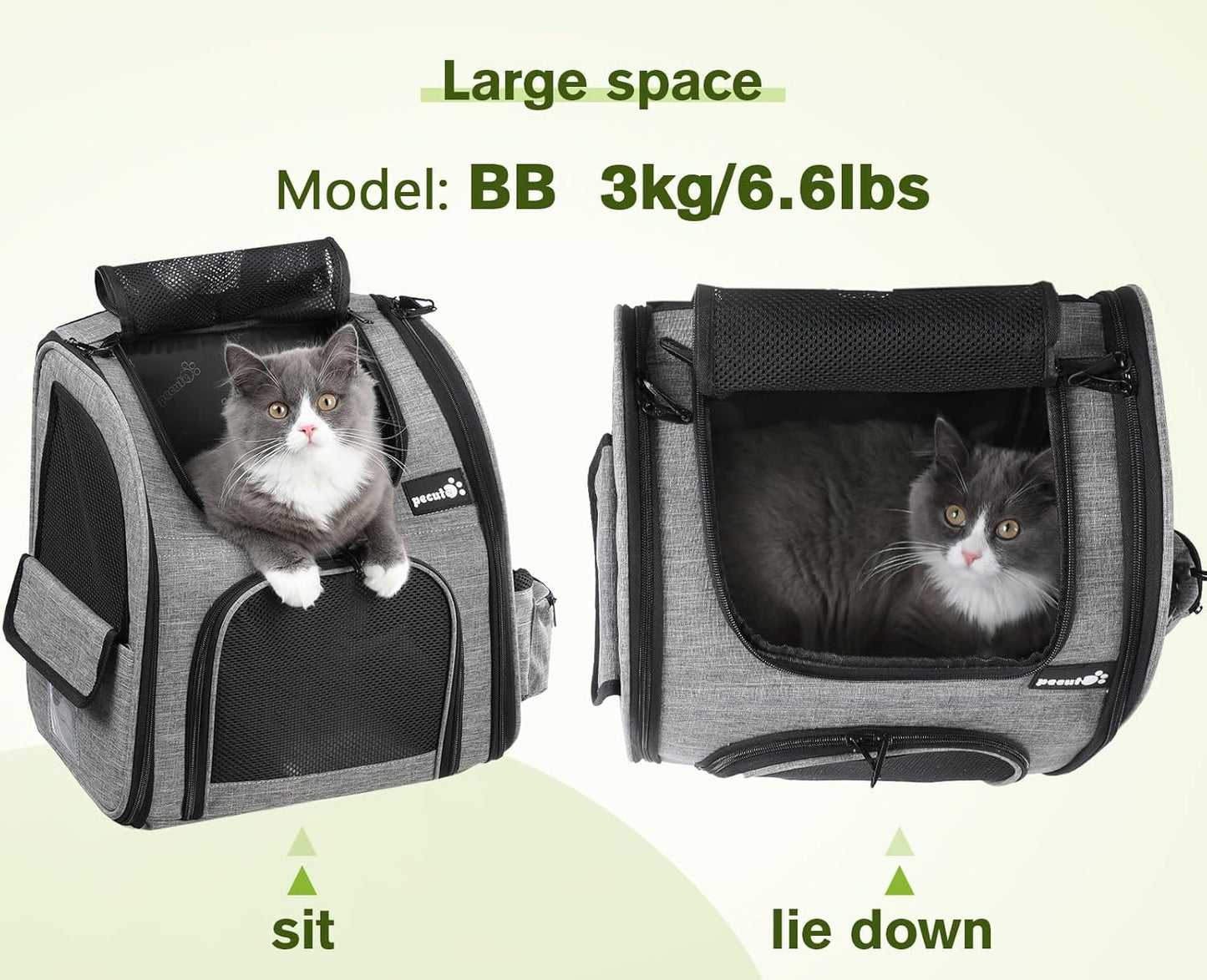 Pecute Cat Backpack with Breathable Mesh, Dog Backpack Carrier with Multi-Pockets for Cats Puppies, Pet Backpack Carrier for Travel Hiking Camping Outdoor (Gray)