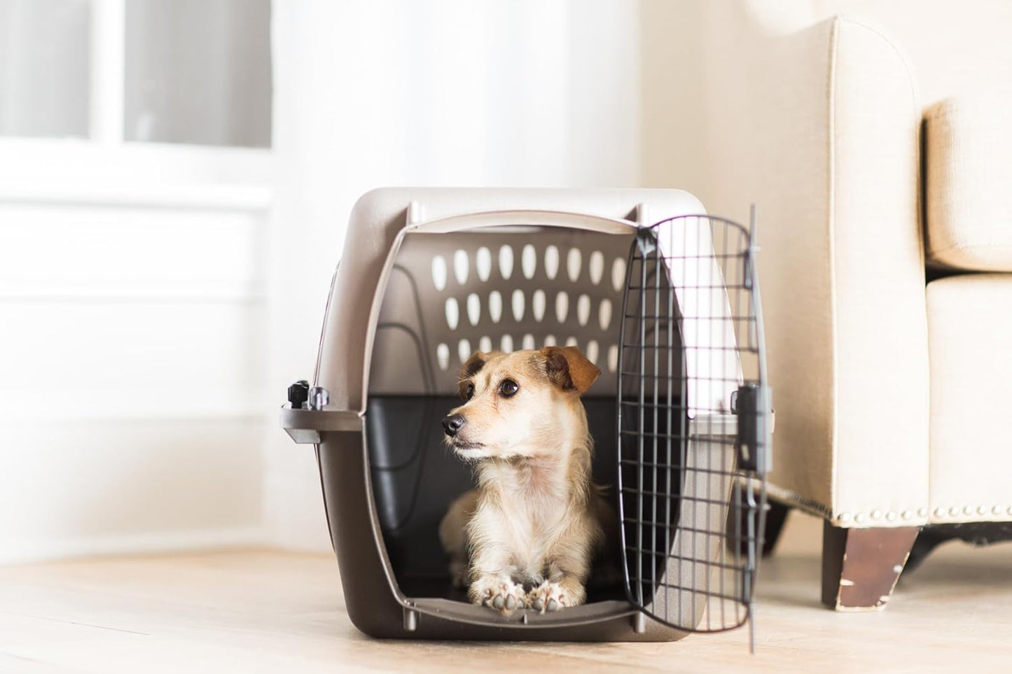Petmate Two-Door Small Dog Kennel & Cat Kennel (Top Loading or Front Loading Pet Carrier, Great for Small Animals, Made with Recycled Materials, 24 inches in Length) For Pets up to 15 Pounds