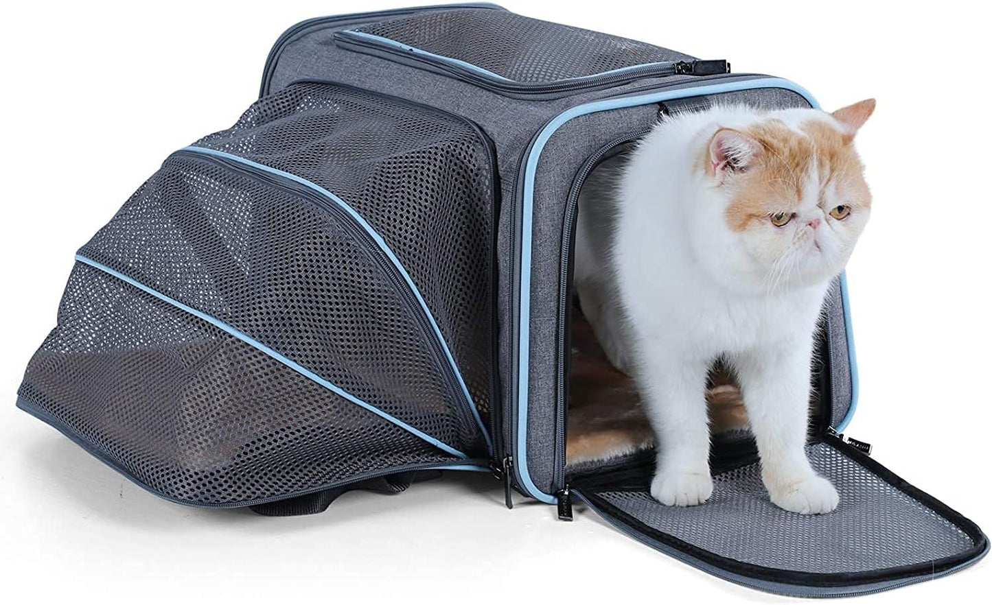 Petsfit Expandable Cat Dog Carrier Airline Approved, 17" L x 11" W x 11" H Soft-Sided Portable Pet Travel Carrier for Kitten, Puppy, Removable Soft Plush Mat and Pockets, Auto-Locking Zippers