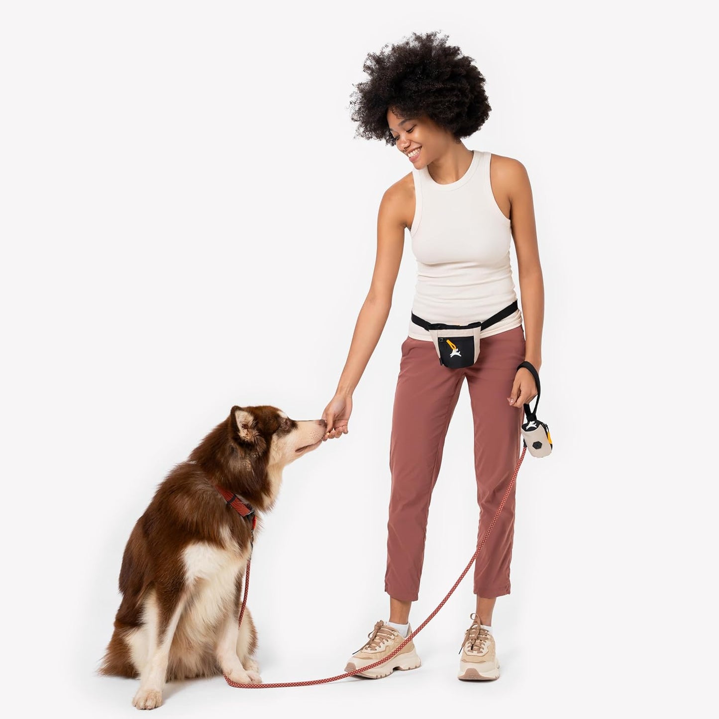 OllyDog Goodie Treat Bag, Dog Treat Pouch, Waist Belt Clip for Hands-Free Training, Magnetic Closure, Dog Training and Behavior Aids, Three Ways to Wear (Palm)