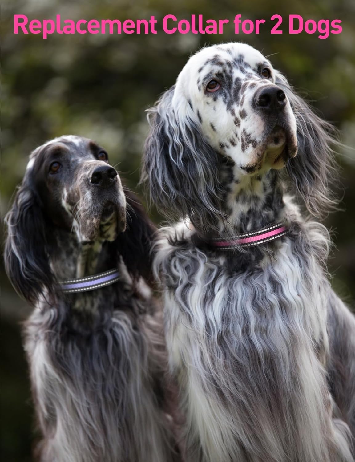 DOGLinsen 2-in-1 Bark and Shock Collar for Dogs, Smart Anti Barking Dog Training Collar with 5 Adjustable Sensitivity, Automatic Bark Collar with Remote, Vibration, Beep, Shock and Automatic