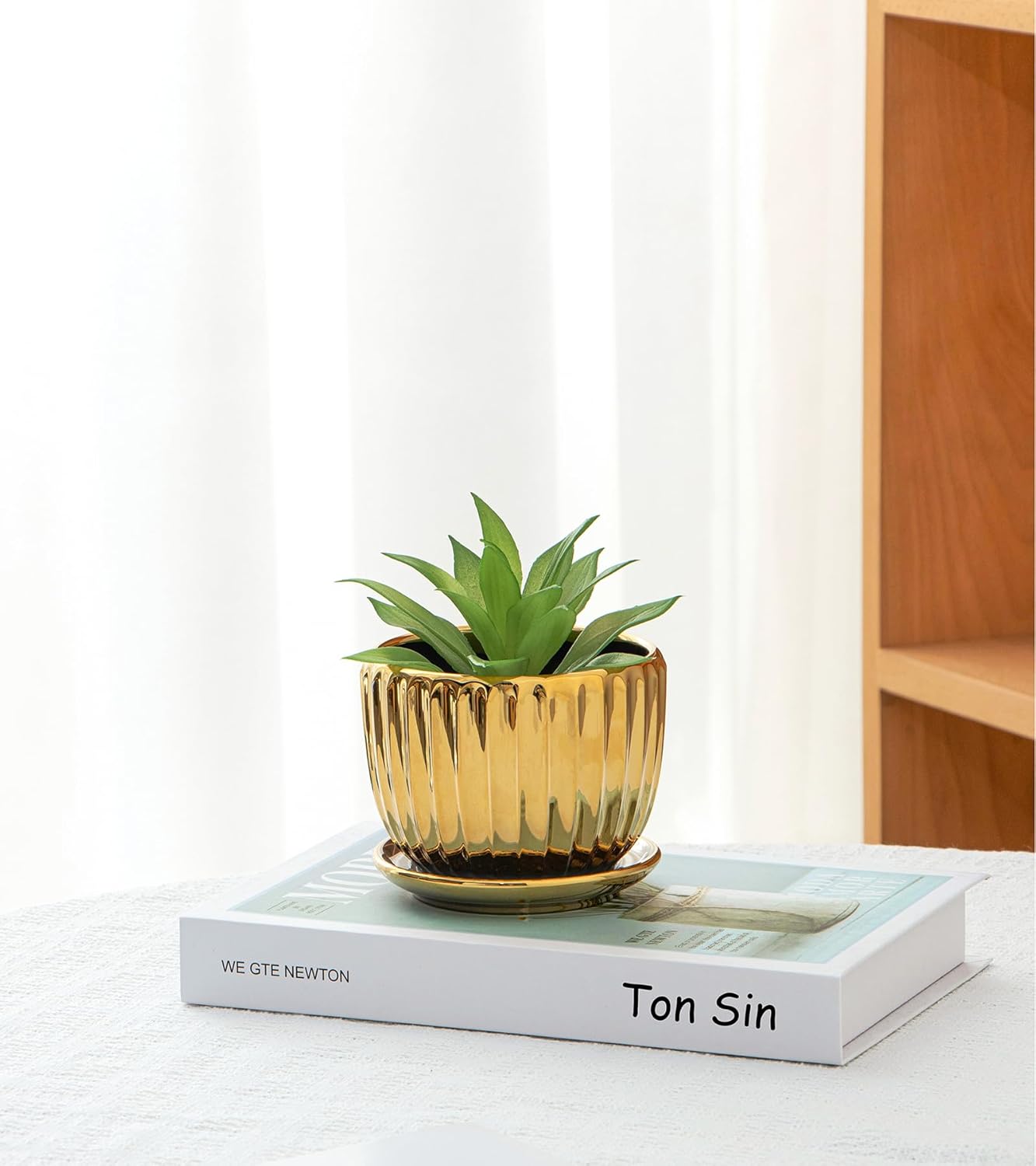 Purilite Select 3-Piece Ceramic Indoor Planter Set