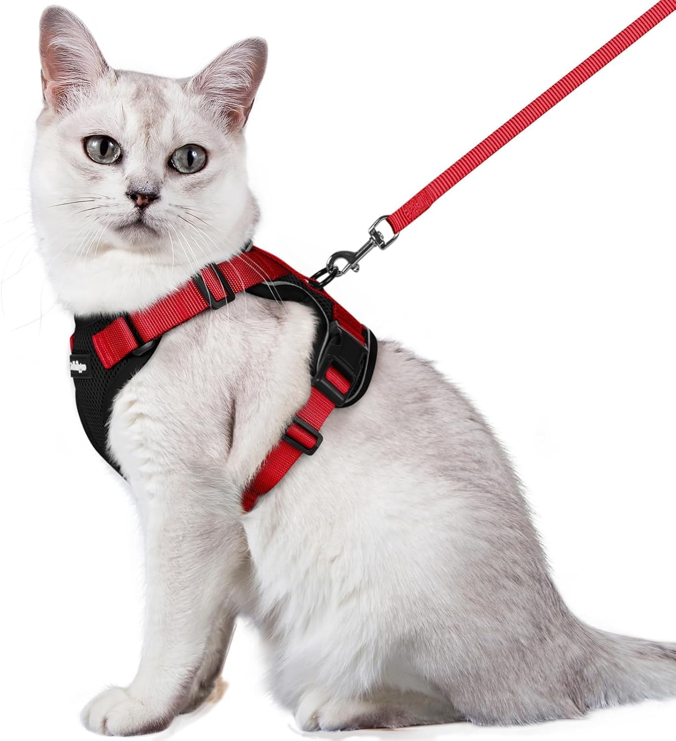 rabbitgoo Cat Harness and Leash for Walking, Escape Proof Soft Adjustable Vest Harnesses for Small Medium Cats, Easy Control Breathable Reflective Strips Jacket, XS, Black