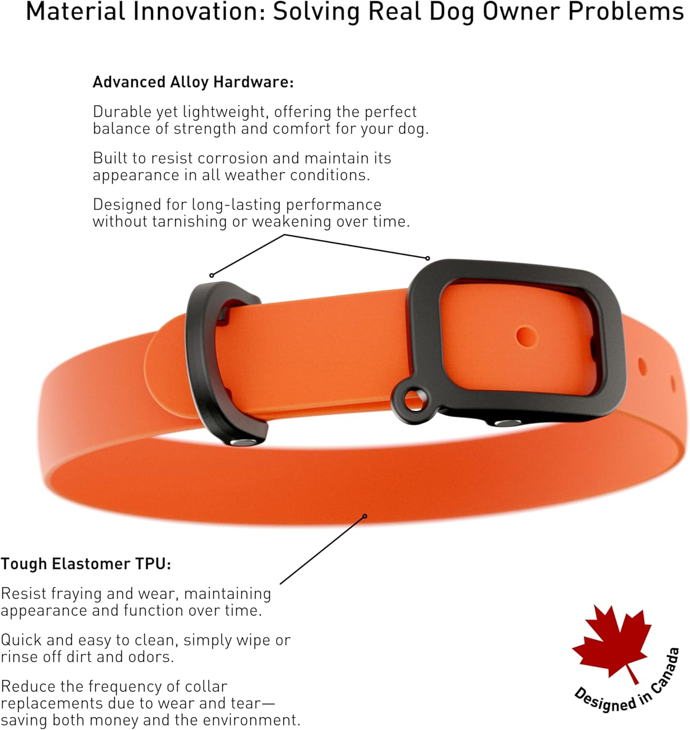 Waterproof Dog Collar - Durable, Comfortable and Adjustable Silicone Dog Collar with Wear Resistant Buckle and ID Tag Ring for Small Dogs by Nuvuq (Black, Small)