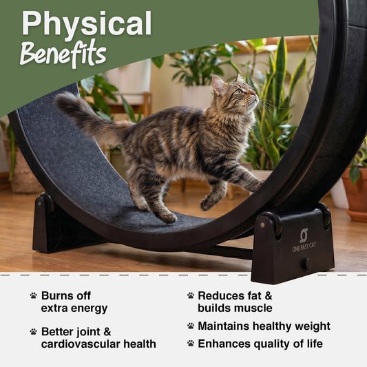 ONE FAST CAT - Cat Exercise Wheel - Gen. 7 - Safe 48" Diameter - Made in The USA - Black Wheel with Black Felt Traction Pads