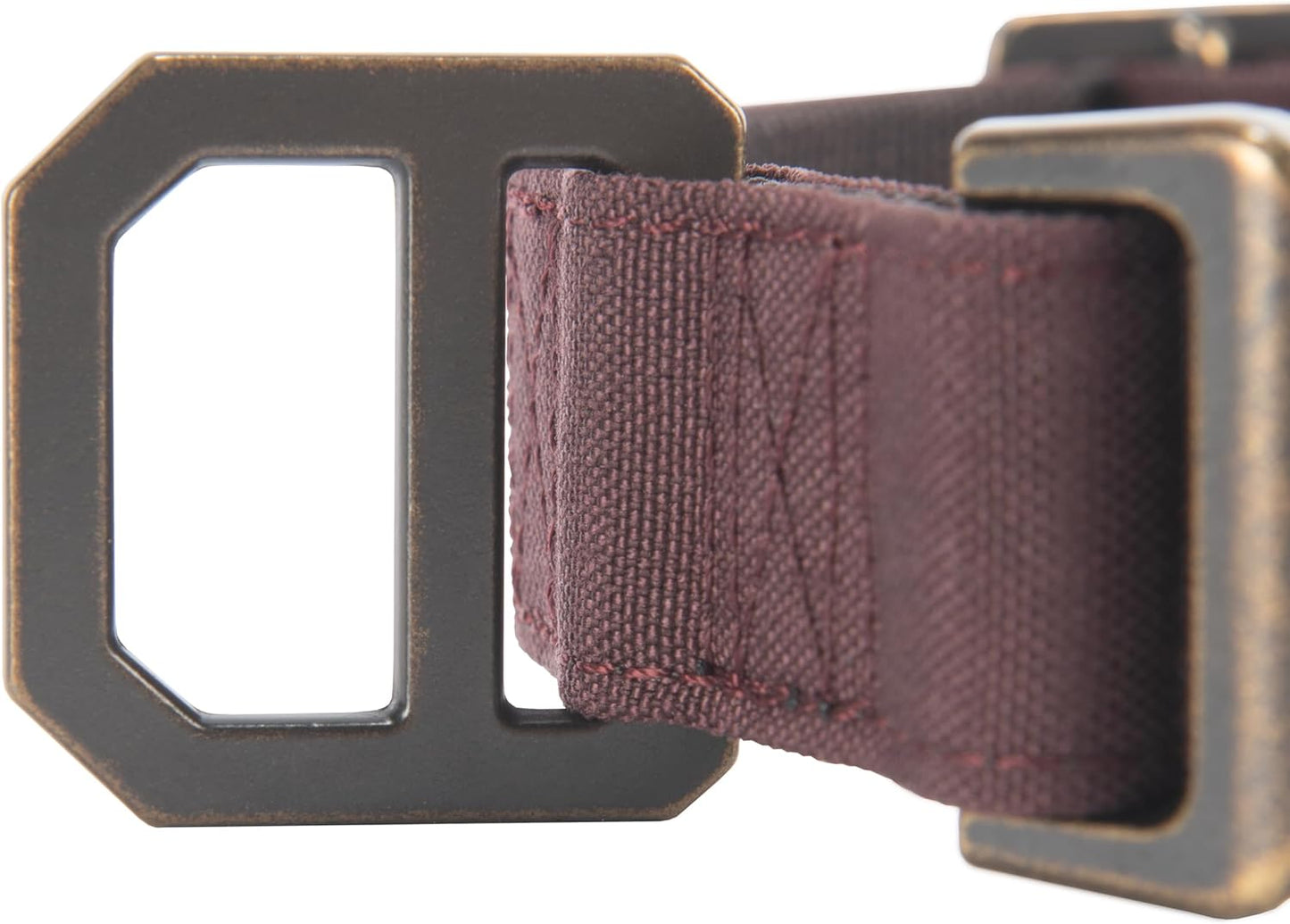 Carhartt Journeyman Dog Collar, Premium Rugged Construction Pet Collar