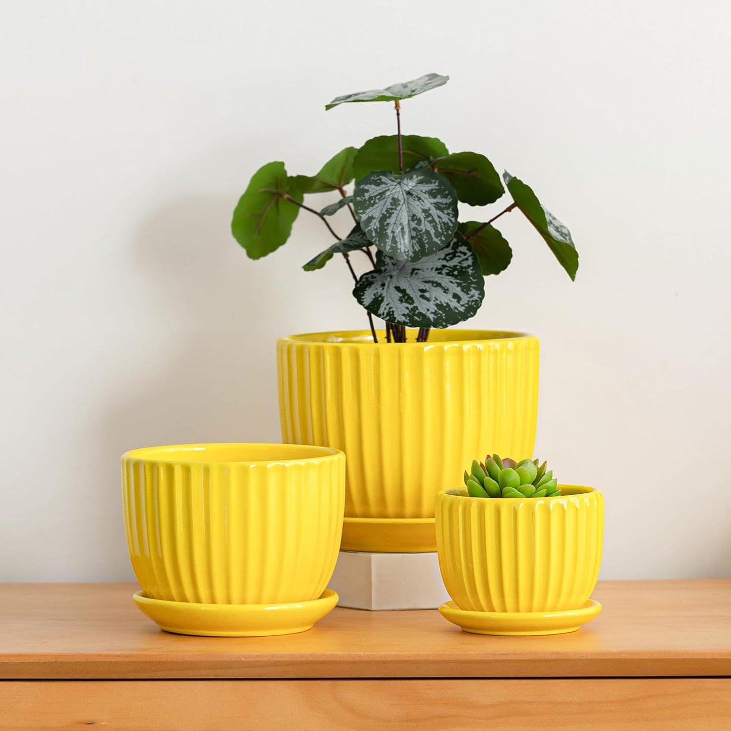 Purilite Select 3-Piece Ceramic Indoor Planter Set