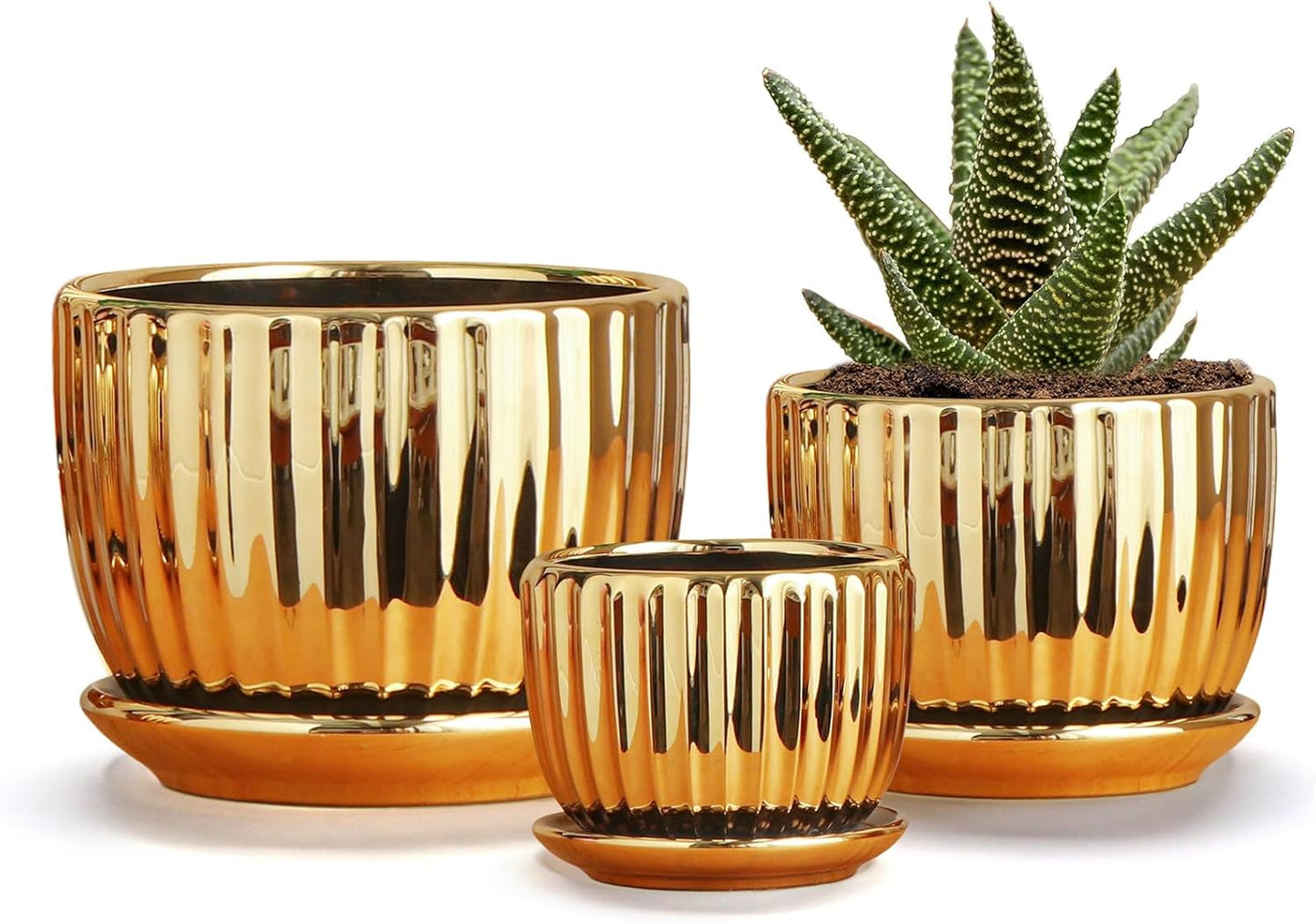 Purilite Select 3-Piece Ceramic Indoor Planter Set