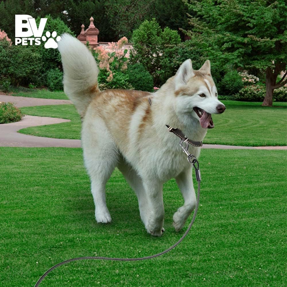 BV Pet Small Tie Out Cable for Dog up to 35 Pound, 25-Feet