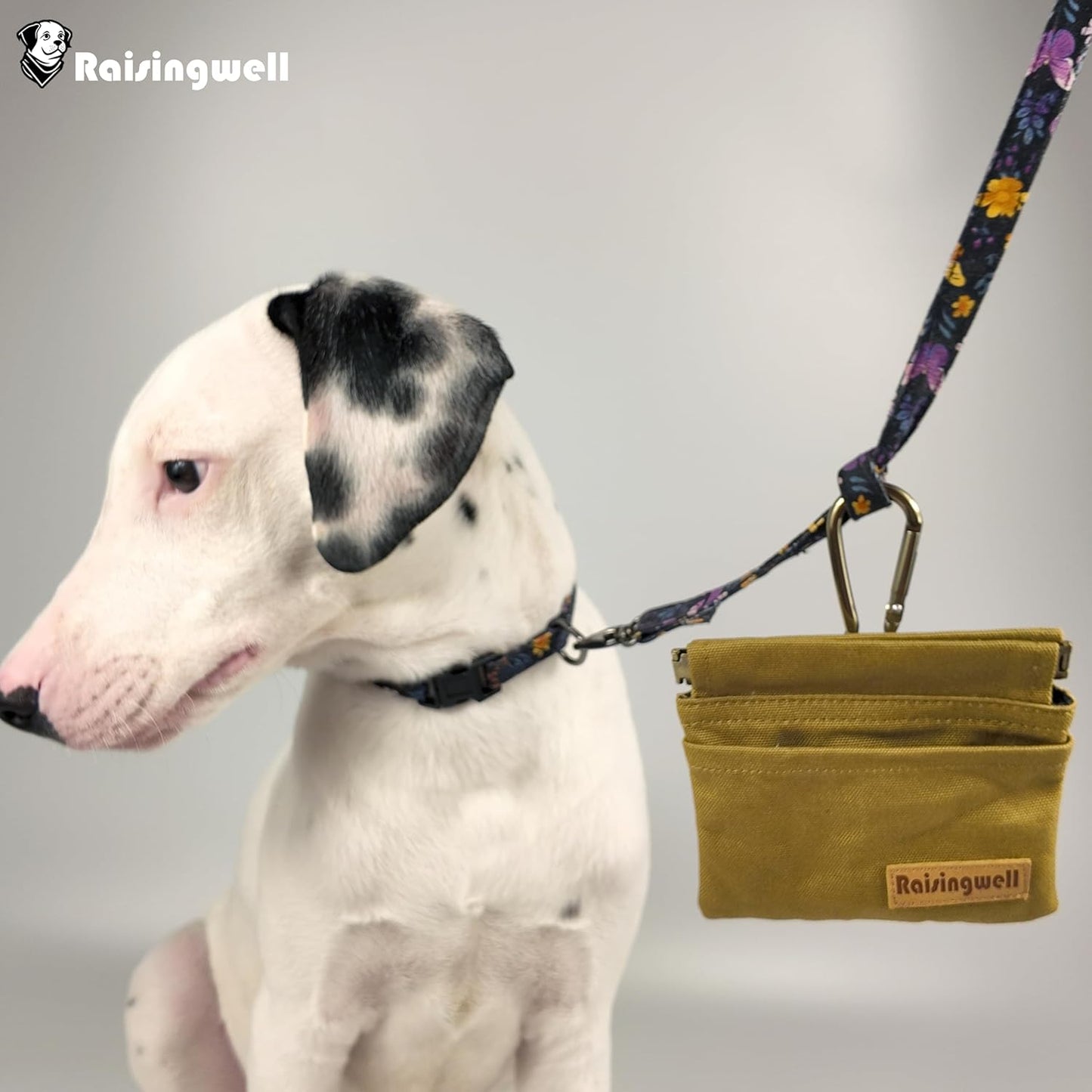 Raisingwell Dog Treat Pouch, Black Pocket Sized Pet Training Pouch, Cotton Fabric, Hand Free Dog Walking Bag with Carabiner, Self-Closing Pet Feed Snack Reward, for Pet Puppy Travel or Outdoor Use