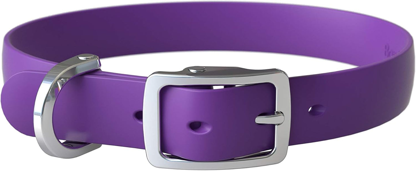 Bond Pet Waterproof Dog Collar - Durable, Comfortable, Adjustable, Wear Resistant and Easy to Clean for Puppies and XSmall Dogs (Orange, XSmall)