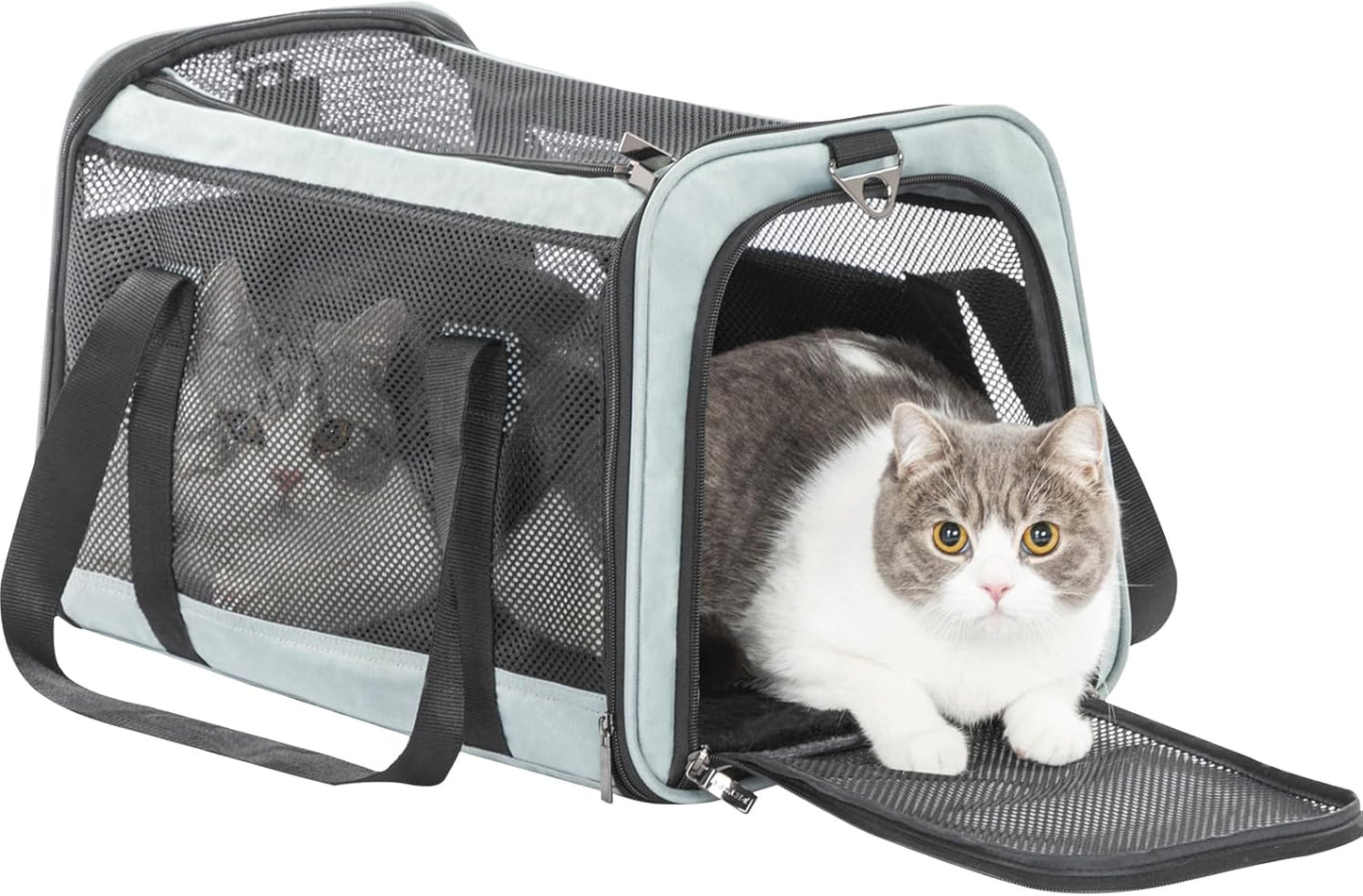 Petsfit Pet Carrier Airline Approved, Soft-Sided Cat Carrier with Patented Car Buckle, Lightweight and Collapsible with Adjustable Shoulder Strap, Soft Cushion,Green