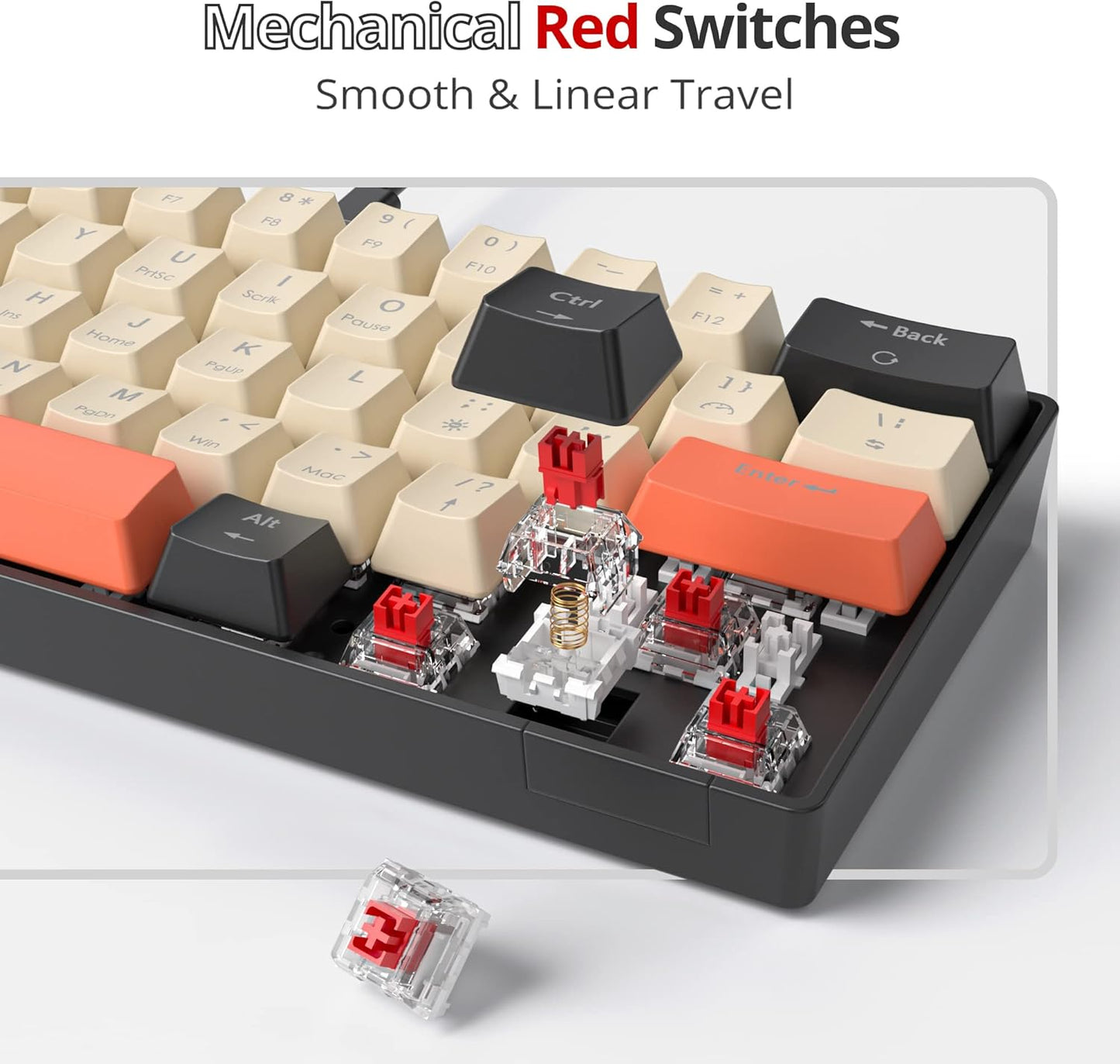 Fogruaden Full Size Mechanical Keyboard, Green Matcha Keyboard, Wired USB 104 Keys RGB Backlit Gaming Keyboard with Number Pad, Red Switches, NKRO Mechanical Keyboard for Windows Laptop PC Gamer